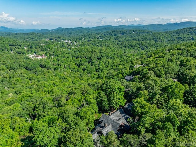 bird's eye view with a mountain view