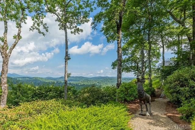 view of mountain feature