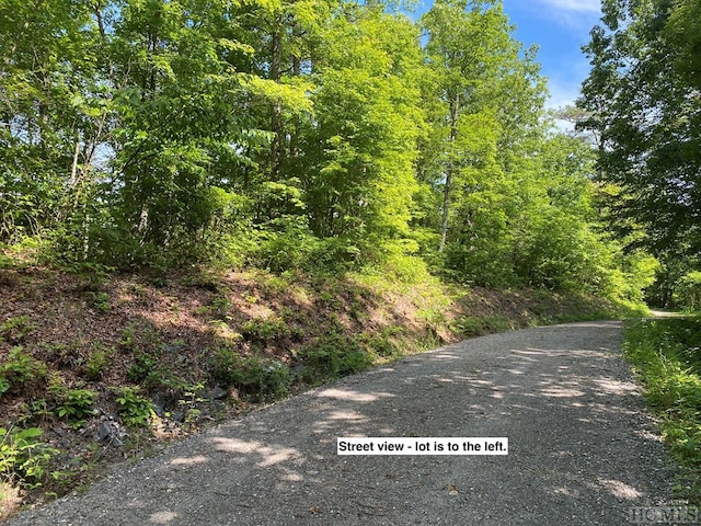 Listing photo 2 for LOT79 Vail Pass Rd, Whittier NC 28789