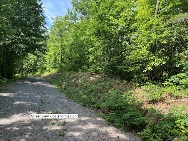 LOT79 Vail Pass Rd, Whittier NC, 28789 land for sale