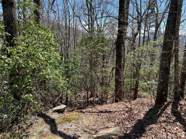 19 Cedar Creek Rd, Glenville, NC 28736
