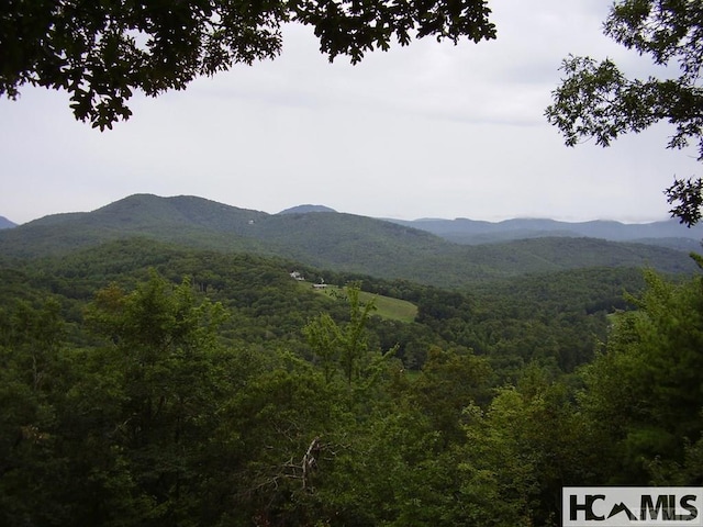 19 Cedar Creek Rd, Glenville, NC 28736