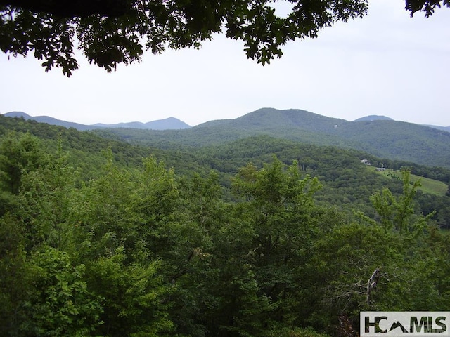 19 Cedar Creek Rd, Glenville, NC 28736