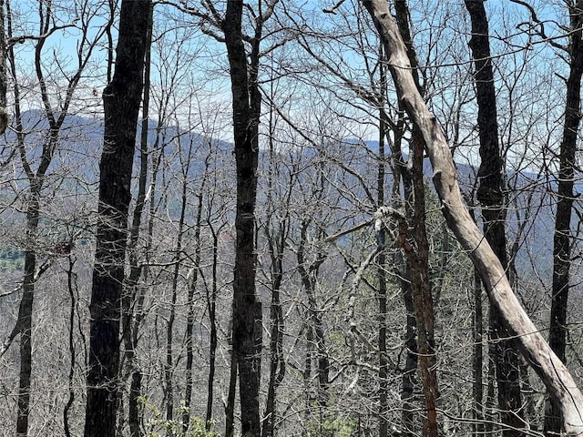 19 Cedar Creek Rd, Glenville, NC 28736