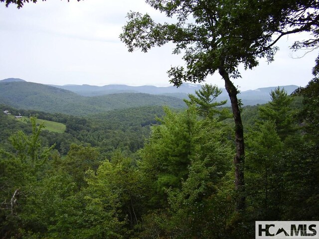 19 Cedar Creek Rd, Glenville, NC 28736