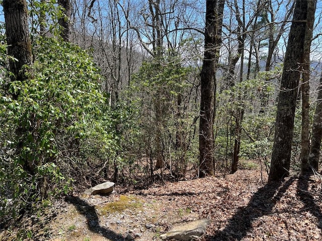 19 Cedar Creek Rd, Glenville, NC 28736