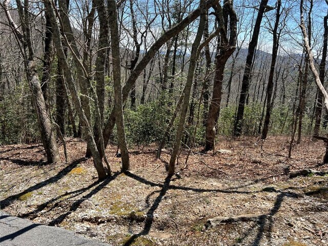 19 Cedar Creek Rd, Glenville, NC 28736