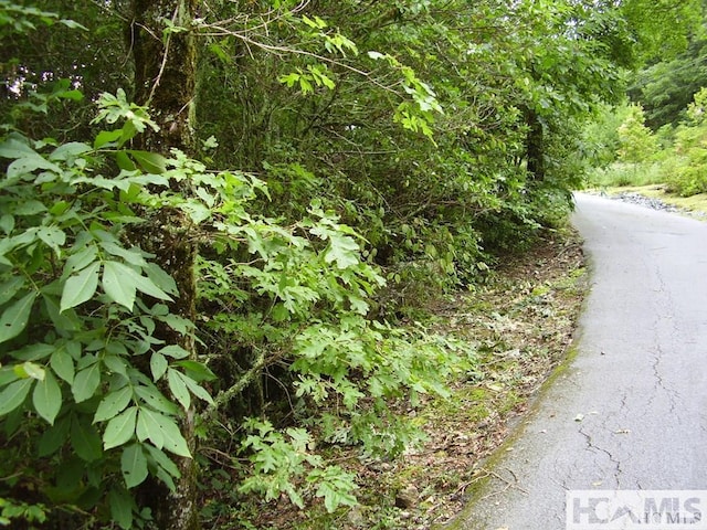 19 Cedar Creek Rd, Glenville, NC 28736