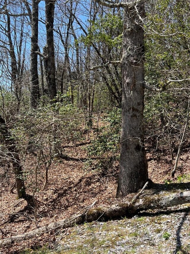 19 Cedar Creek Rd, Glenville, NC 28736