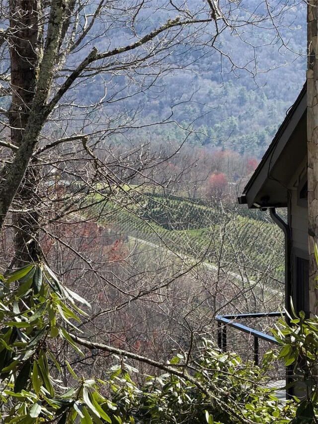 19 Cedar Creek Rd, Glenville, NC 28736