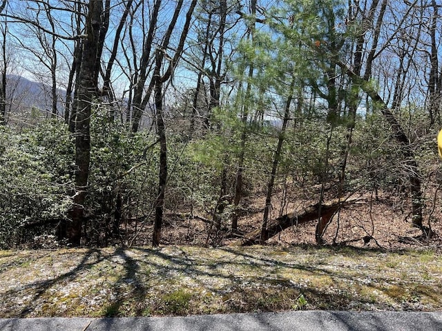 19 Cedar Creek Rd, Glenville, NC 28736