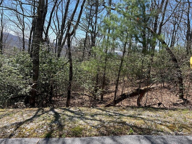 19 Cedar Creek Rd, Glenville, NC 28736