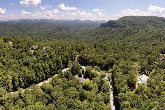 19 Whiteside Mountain Rd Unit A, Highlands, NC 28741 - photo 50