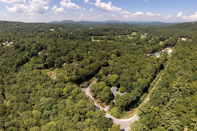 19 Whiteside Mountain Rd Unit A, Highlands, NC 28741 - photo 48