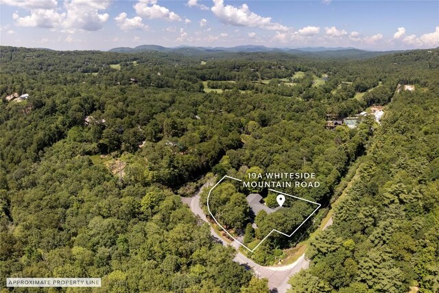 19 Whiteside Mountain Rd Unit A, Highlands, NC 28741 - photo 49