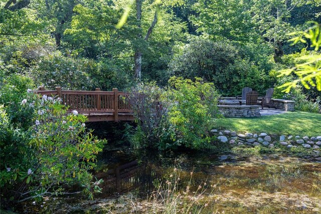 19 Whiteside Mountain Rd Unit A, Highlands, NC 28741 - photo 61