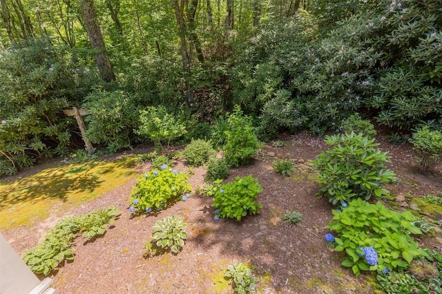 9 Lucas Ln, Highlands, NC 28741 - photo 35