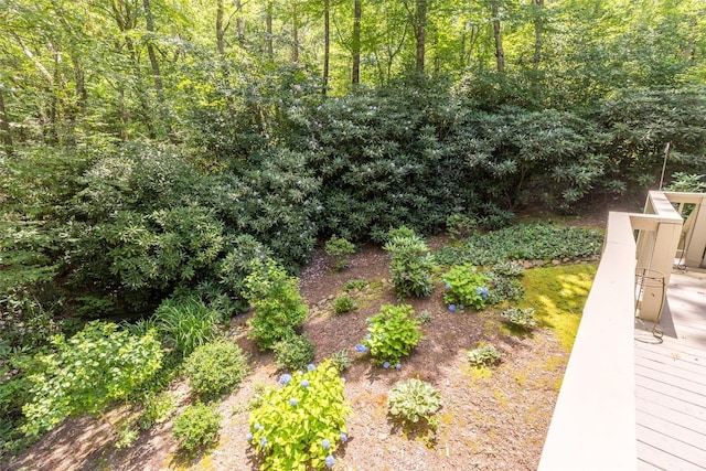 9 Lucas Ln, Highlands, NC 28741 - photo 34