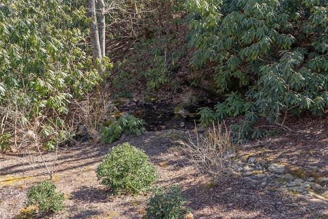 9 Lucas Ln, Highlands, NC 28741 - photo 20