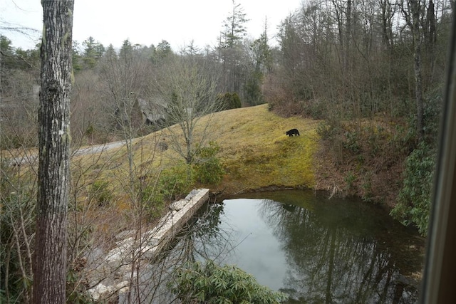 water view featuring a forest