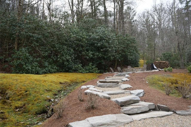 view of yard featuring a wooded view