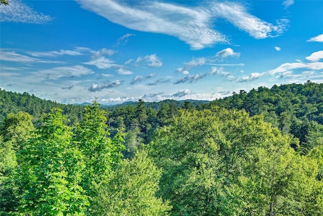 view of mountain background with a heavily wooded area