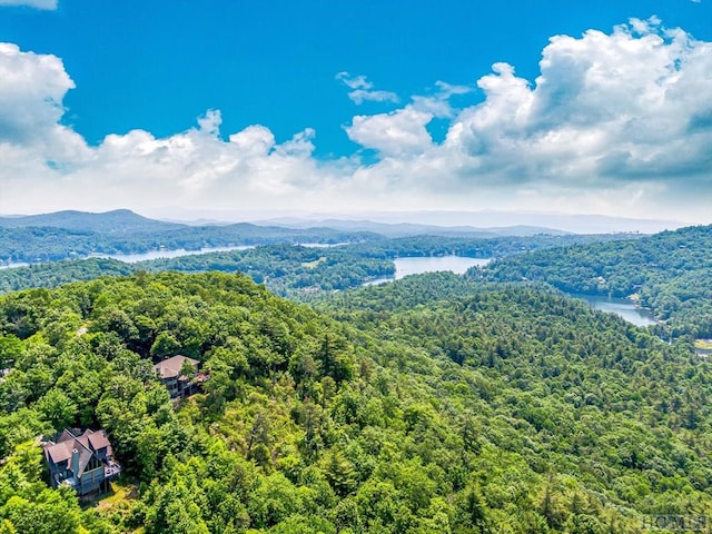 aerial view featuring a water and mountain view