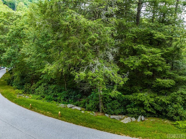 Listing photo 3 for LOT10 Ravenel Ridge Rd, Highlands NC 28741