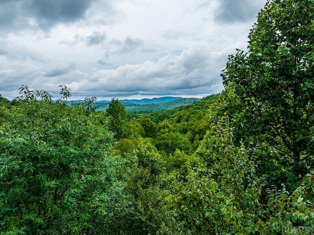 LOT10 Ravenel Ridge Rd, Highlands NC, 28741 land for sale