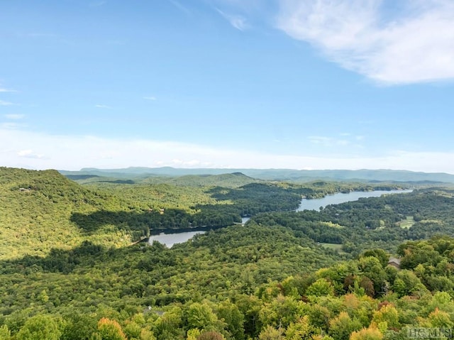 drone / aerial view with a water and mountain view