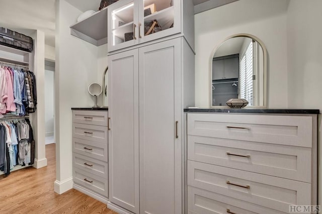 spacious closet with light hardwood / wood-style flooring