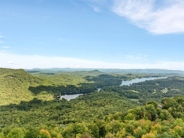 bird's eye view featuring a water and mountain view