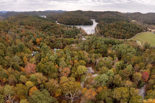 drone / aerial view featuring a water and mountain view