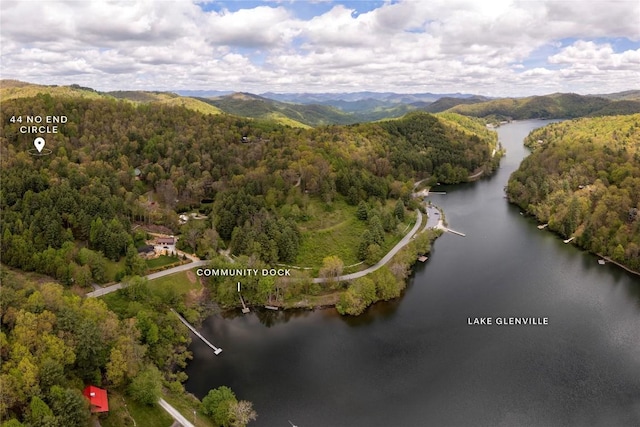 view of property location featuring a forest and a water and mountain view