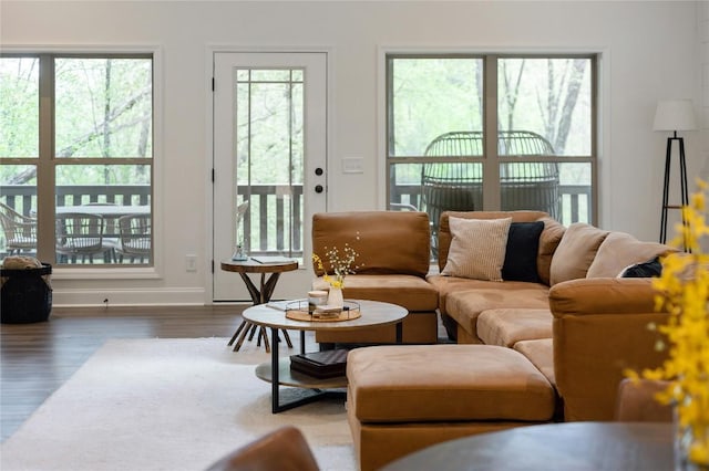 living room featuring wood finished floors and baseboards