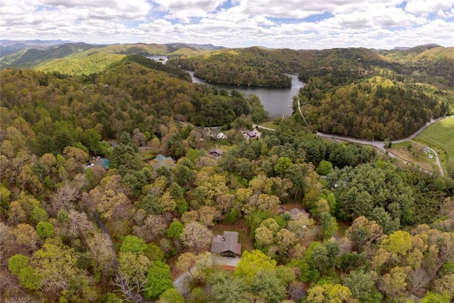 aerial view of a heavily wooded area and a water and mountain view