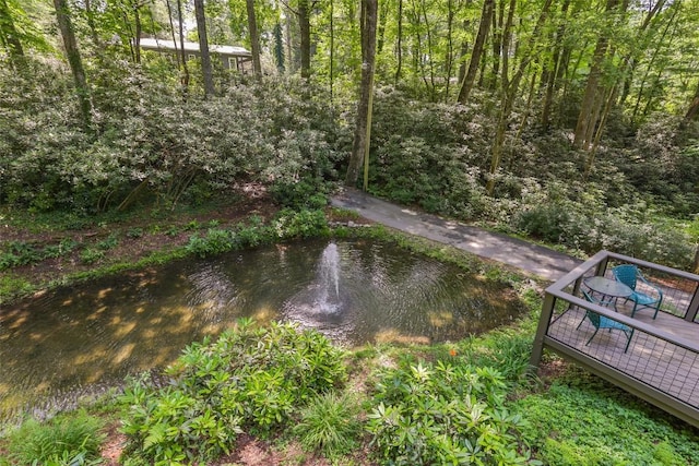 190 Wingina Pl, Highlands, NC 28741 - photo 58