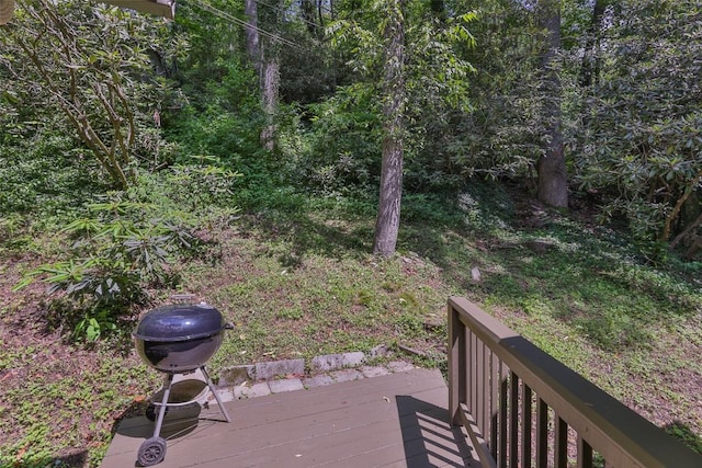 190 Wingina Pl, Highlands, NC 28741 - photo 47