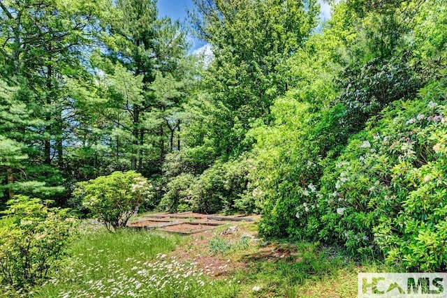 view of wooded area