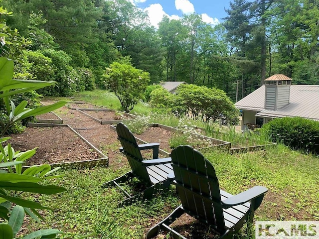 view of yard featuring a garden