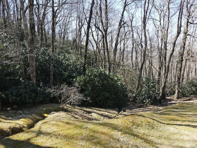 SR1121 Breedlove Rd, Glenville, NC 28736