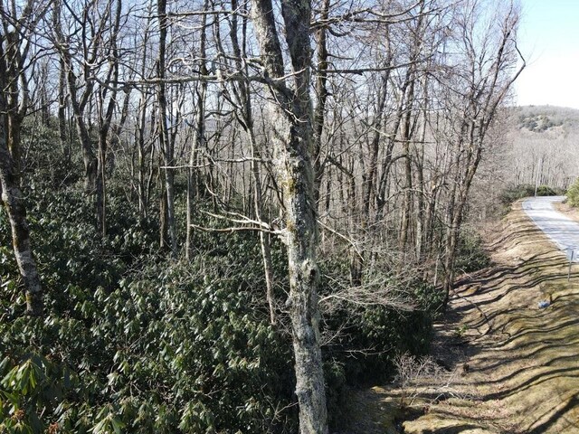 SR1121 Breedlove Rd, Glenville, NC 28736