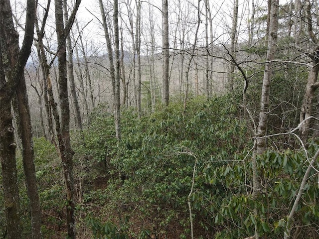 SR1121 Breedlove Rd, Glenville, NC 28736