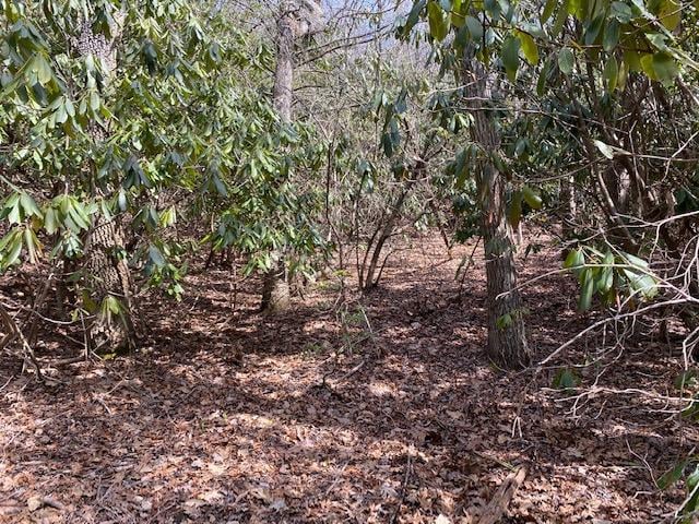 SR1121 Breedlove Rd, Glenville, NC 28736