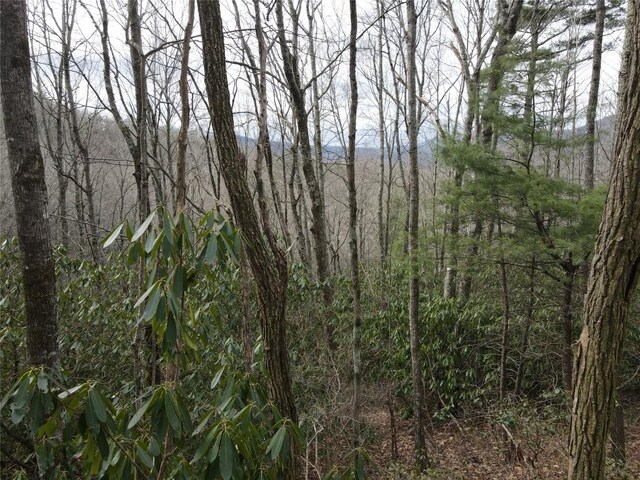 SR1121 Breedlove Rd, Glenville, NC 28736