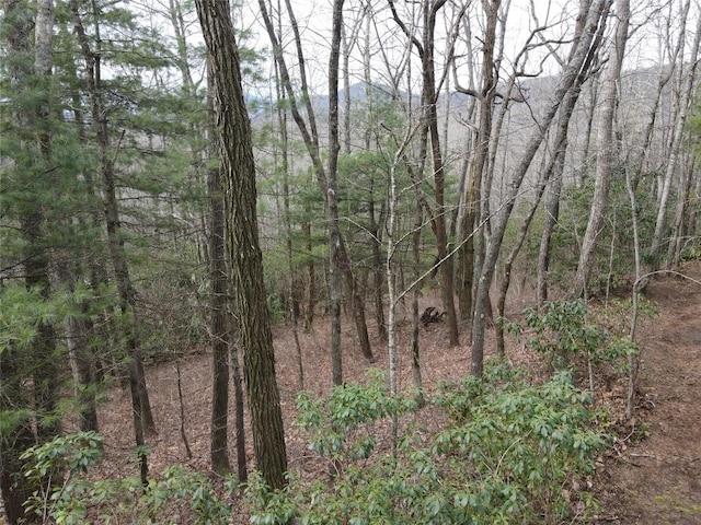 SR1121 Breedlove Rd, Glenville, NC 28736