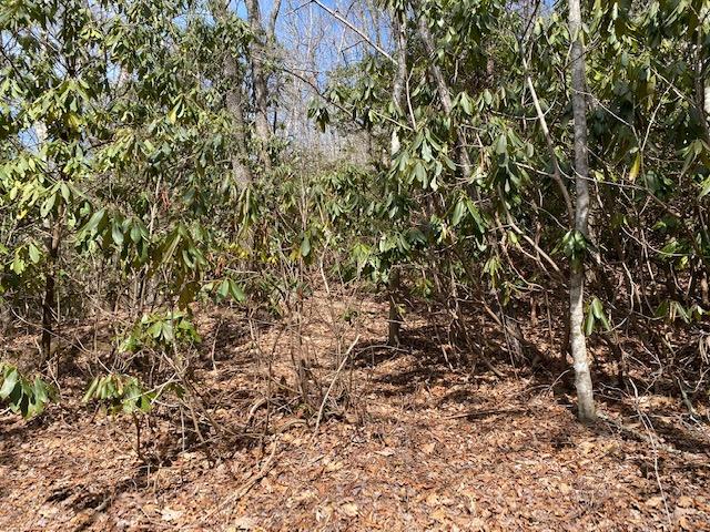 SR1121 Breedlove Rd, Glenville, NC 28736
