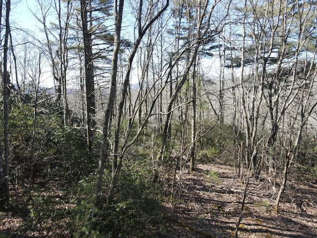 SR1121 Breedlove Rd, Glenville, NC 28736