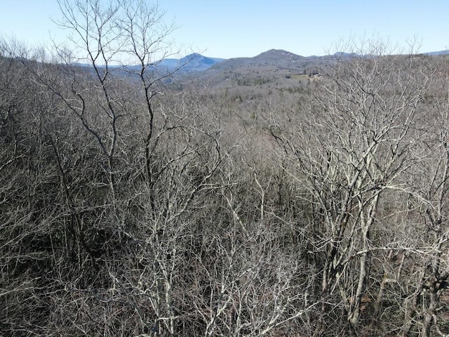 SR1121 Breedlove Rd, Glenville, NC 28736