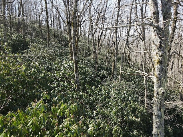 SR1121 Breedlove Rd, Glenville, NC 28736